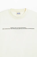 Pacsun Pacific Sunwear Depths Oversized T-Shirt