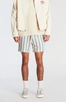 PacSun Blue Striped Crochet Volley Shorts