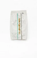 Quiksilver Everyday Vert 7" Swim Trunks