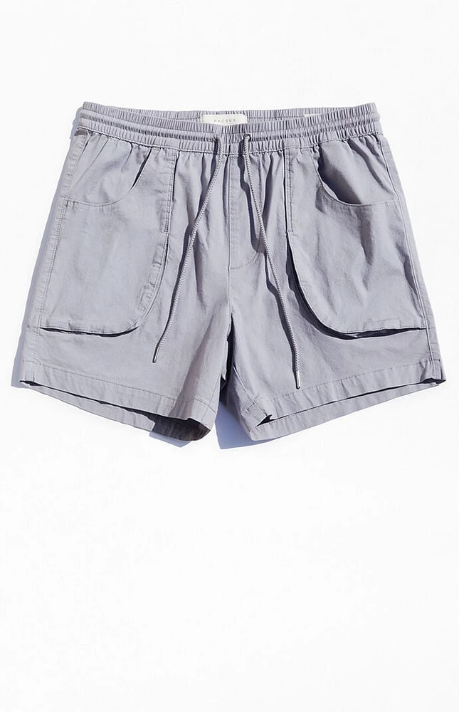 PacSun Gray Volley Shorts