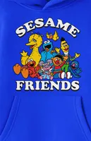 Kids Sesame Street Friends Hoodie