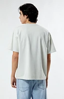 PacSun Albuquerque New Mexico Embroidered T-Shirt