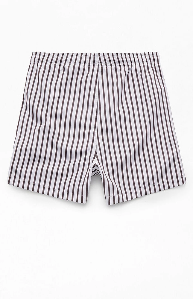 PacSun Vertical Stripe 4" Swim Trunks