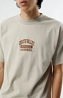 Pacsun Death Valley Embroidered T-Shirt