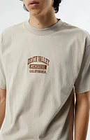 PacSun Death Valley Embroidered T-Shirt