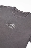 PacSun Washed Black Los Angeles Embroidered T-Shirt