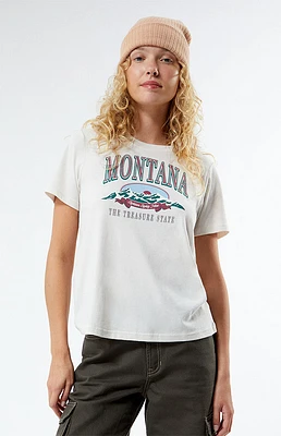 PacSun Montana Vintage Relaxed T-Shirt