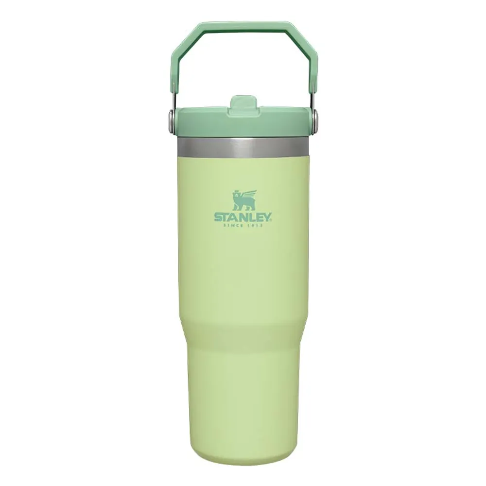 Stanley The 30oz IceFlow Flip Straw Tumbler in Citron