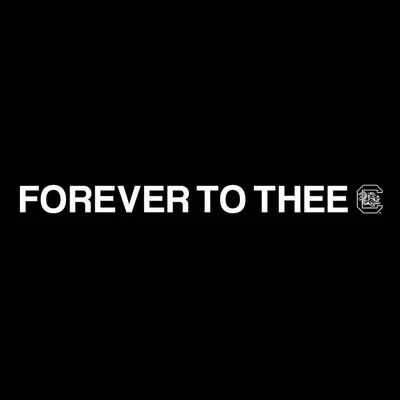 Forever To Thee Strip with Block C Decal