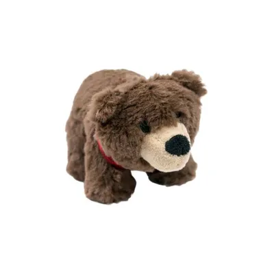 Bear Dog Toy