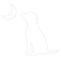Local Boy Dog Decal in White