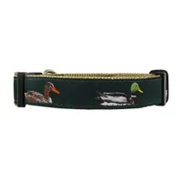 Ducks Ribbon Dog Collar