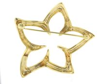 Tiffany & Co. Floral Star Pin Brooch