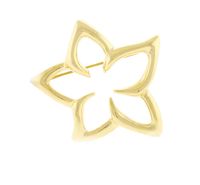 Tiffany & Co. Floral Star Pin Brooch