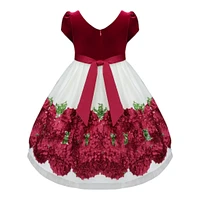 Paparazzi Holiday Red Rose Buds and Ivory Velvet Dress