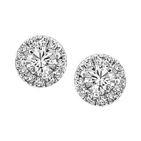 Fire of the North Halo Stud Earrings with 1.00 Carat TW of Diamonds in 14kt White Gold