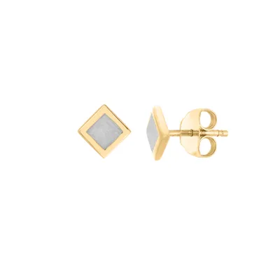 Earrings with Pearl Enamel 10kt Yellow Gold