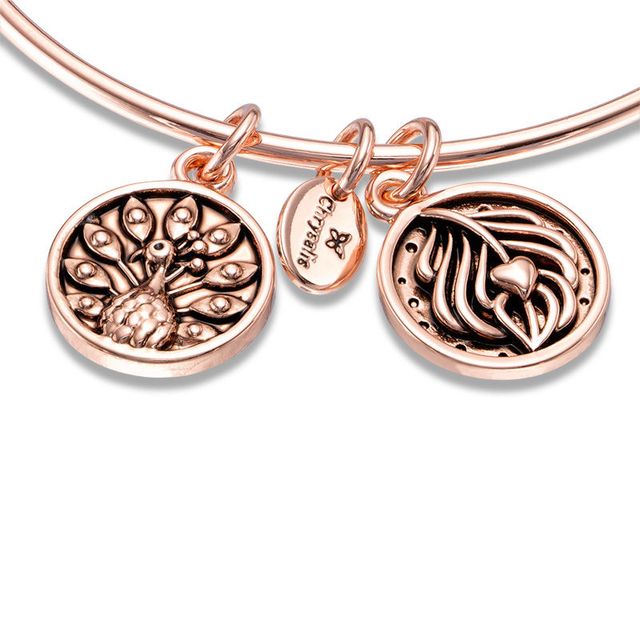 Chrysalis "Inner Beauty" Charms Adjustable Bangle in Rose-Tone Brass