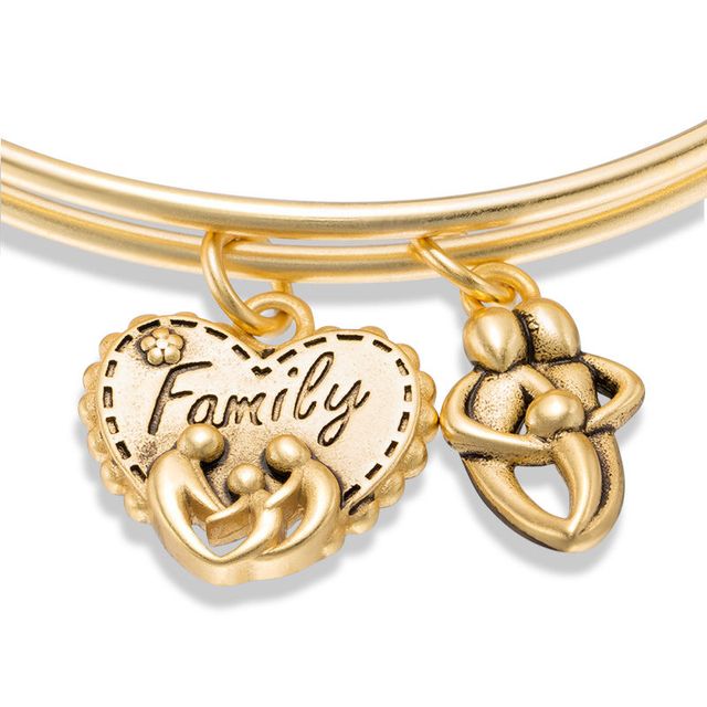 Chrysalis "Family" Charms Adjustable Bangle in Yellow-Tone Brass