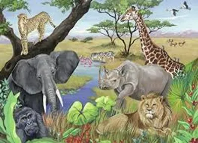 Safari Animals  60 pc