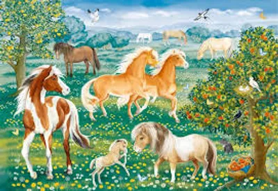 Horse Meadow  60pc