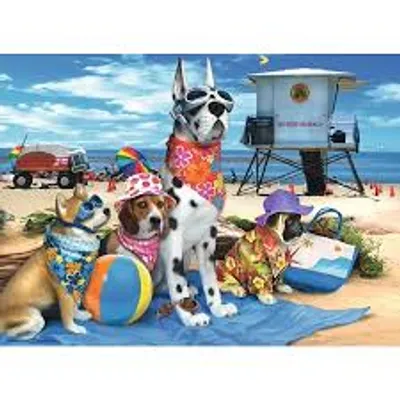 No Dogs on the Beach  100 pc