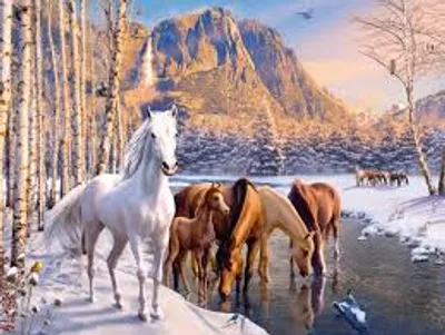 Winter Horses  200 pc