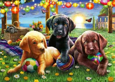 Puppy Picnic  100 pc