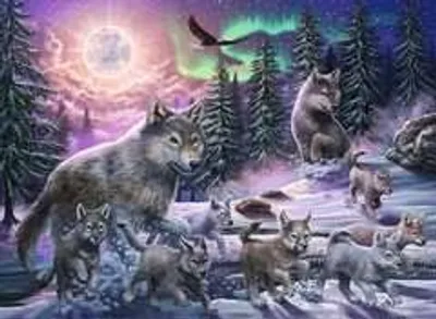 Northern Wolves  150 pc