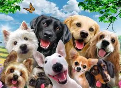 Delighted Dogs  300 pc Puzzle