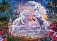 Unicorn Paradise  300 pc