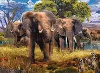 Elephants 500 pc Puzzle