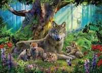 Wolves in the Forest 1000 pc