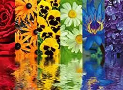 Floral Reflections  500 pc
