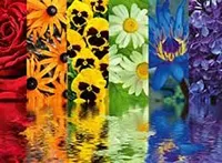 Floral Reflections  500 pc