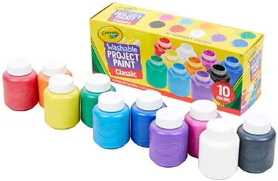 Washable Project Paint - 10 Count Set