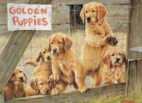 Golden Puppies - Cobble Hill 1000pc Modular Puzzle