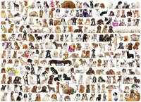 The World of Dogs - 1000pc Eurographics Puzzle