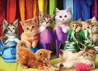 Rainbow : Kitten Pride - 1000pc Eurographics Puzzle