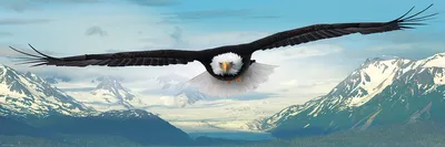 Eagle - Panoramic Eurographics 1000pc Puzzle