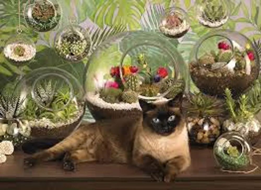 Terrarium Cat 1000 pc