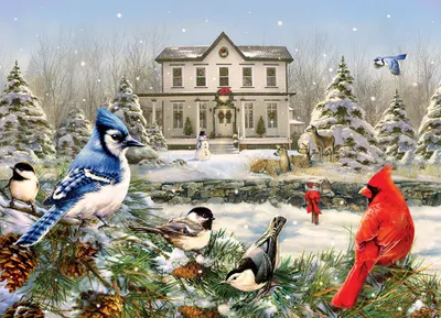 Country House Birds - Cobble Hill 1000pc Puzzle