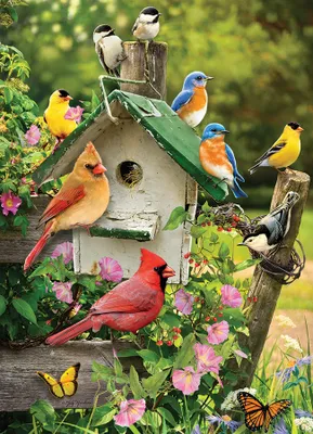 Summer Birdhouse - Cobble Hill 1000pc Puzzle