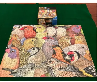 Bunch of Birds  1000 pc Puzzle