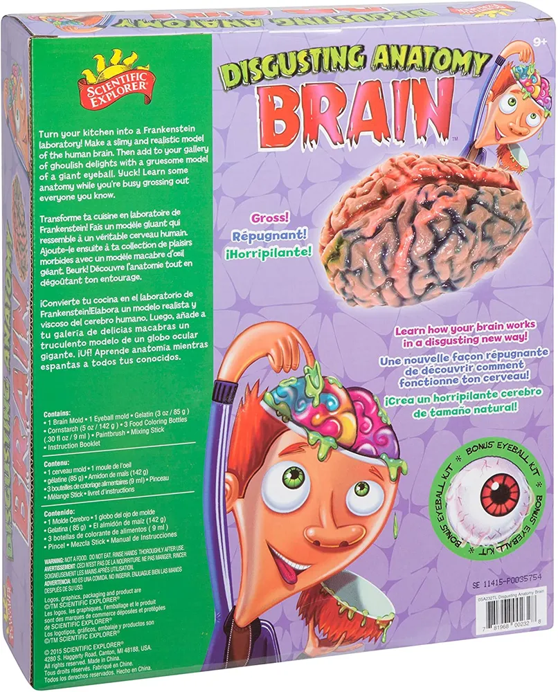 Scientific Explorer - Disgusting Anatomy BRAIN