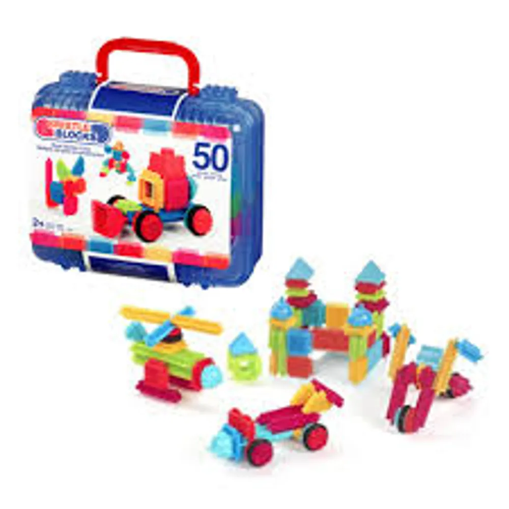 Bristle Blocks - 50 Piece Set in Case