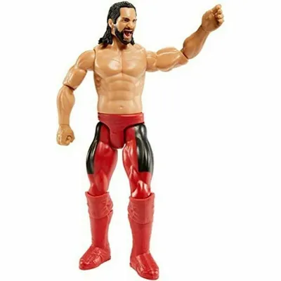 WWE True Moves 12" Figures: Seth Rollins