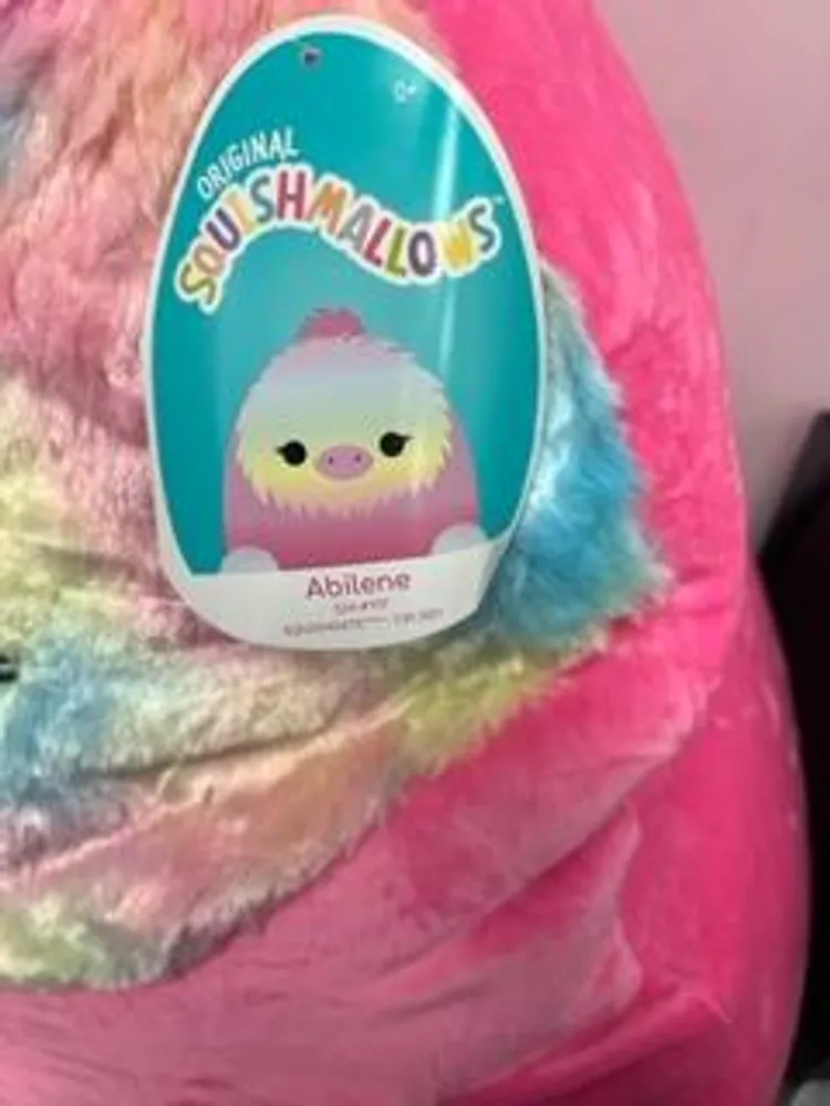 Squishmallows - PET SHOP  16" Abilene Bird