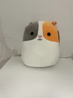 Squishmallows - 16" Pet Shop EVERETT - HAMSTER