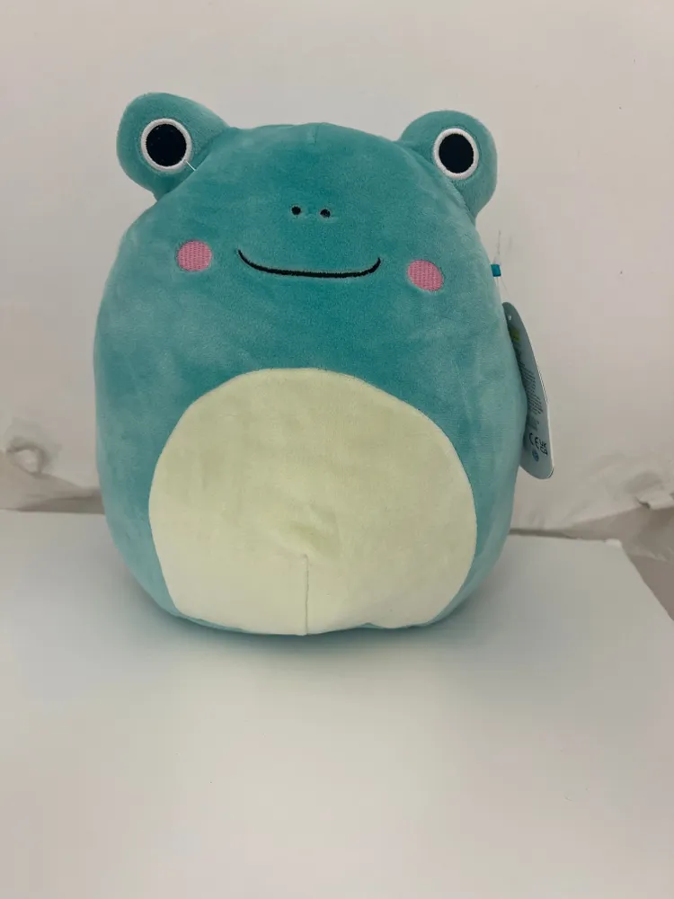 Squishmallows - 8" Pet Shop ROBERT - FROG